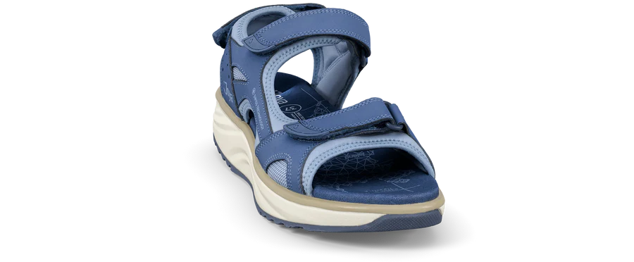 Komodo blue